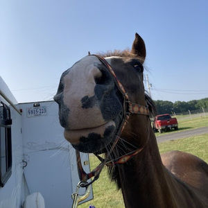 Meet your Posher, Natalie